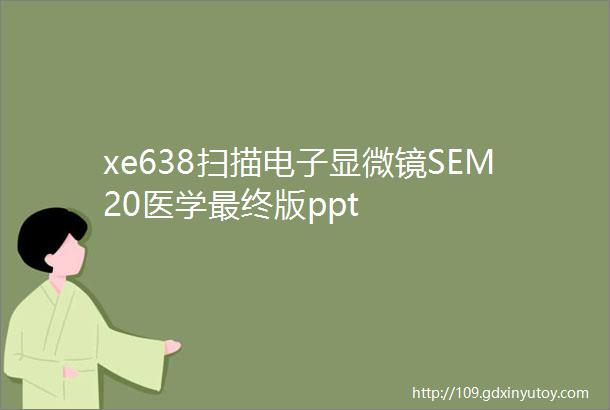 xe638扫描电子显微镜SEM20医学最终版ppt